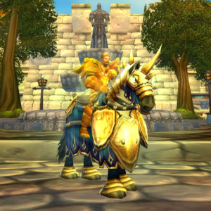 t1 paladin bracers