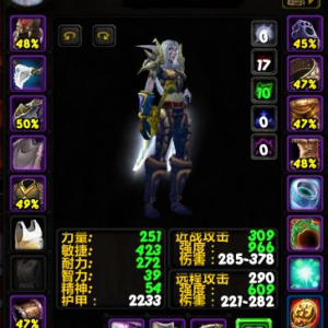 Female Nightelf Rogue
