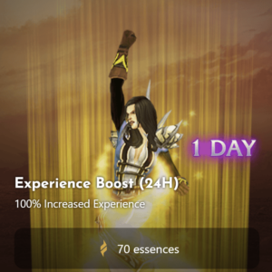 Experience Boost (24H)